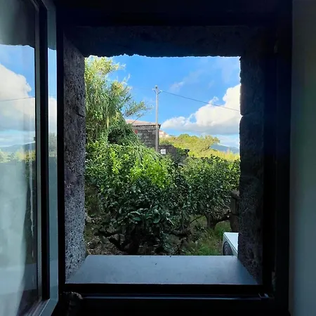 Holiday home Casa Do Grotao - Turismo No Espaco Rural - Rural
